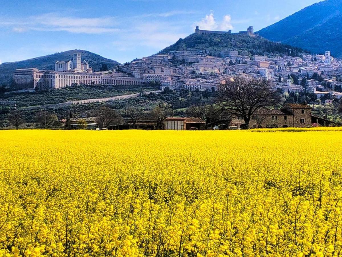 Da Marzietta Assisi