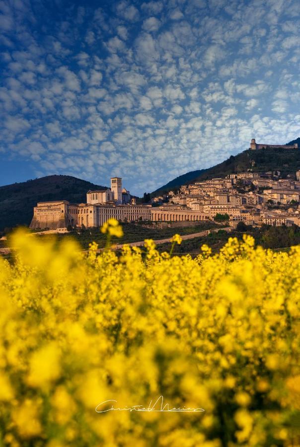 Da Marzietta Holiday home Assisi